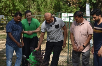 Tree plantation by Ambassador